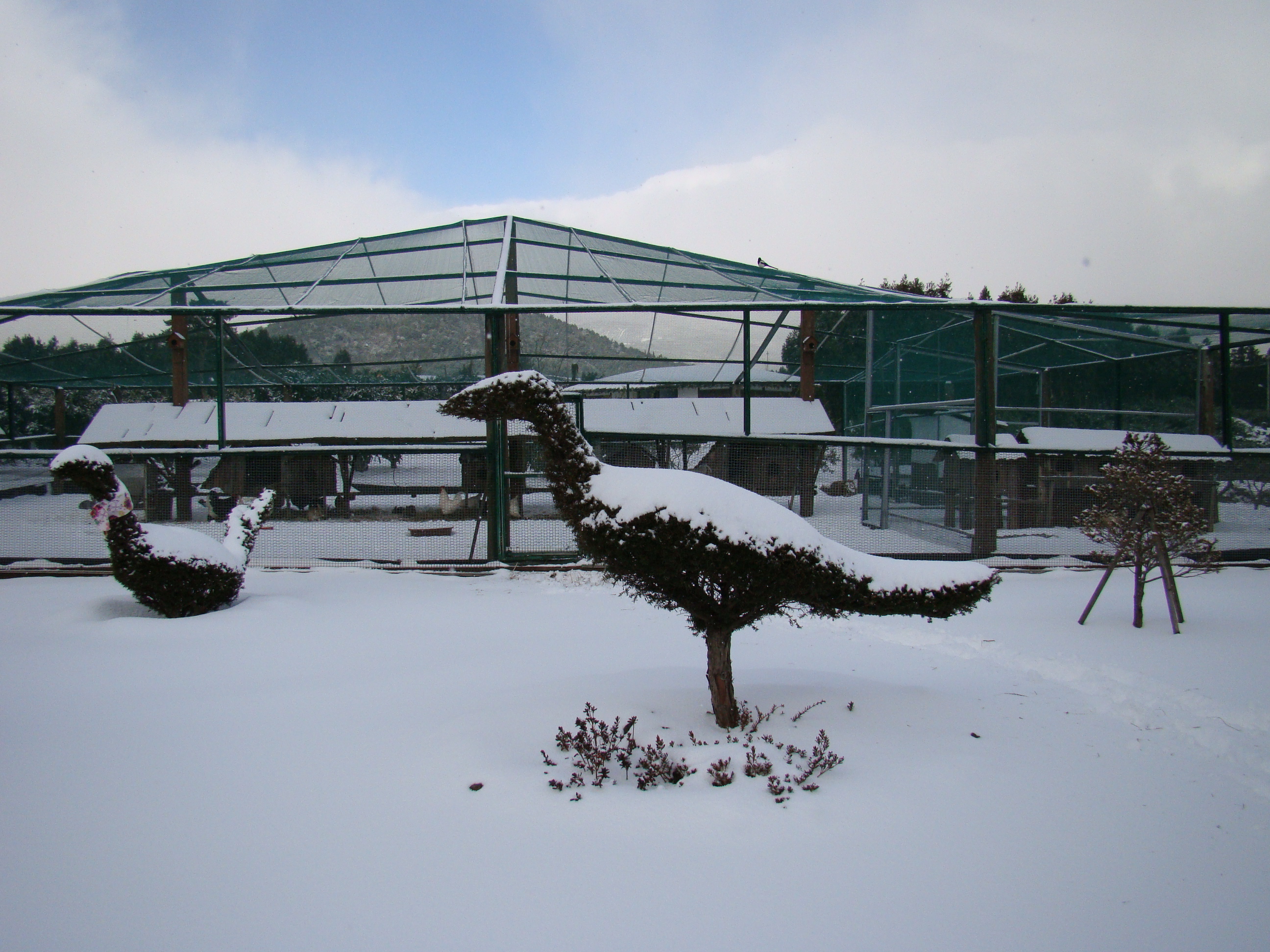 서귀포농업기술센터 겨울사진입니다. 서귀포에도 이렇게 눈이 내리네요!!!